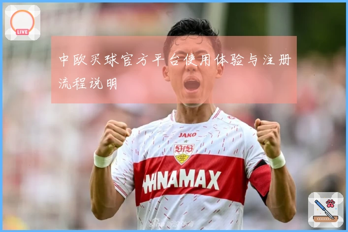 中欧买球官方平台使用体验与注册流程说明