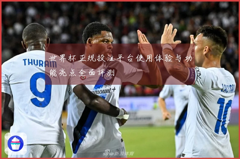 世界杯正规投注平台使用体验与功能亮点全面评测