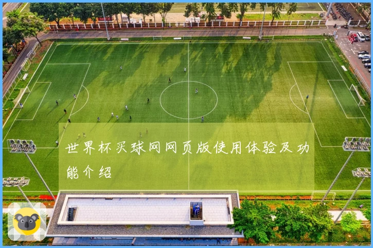 世界杯买球网网页版使用体验及功能介绍