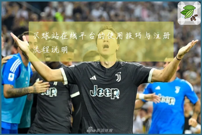 买球站在线平台的使用技巧与注册流程说明