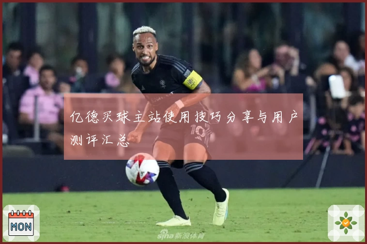 亿德买球主站使用技巧分享与用户测评汇总