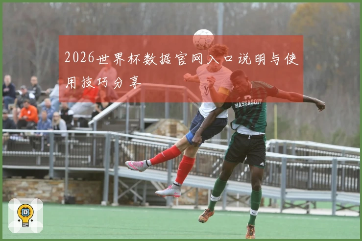 2026世界杯数据官网入口说明与使用技巧分享