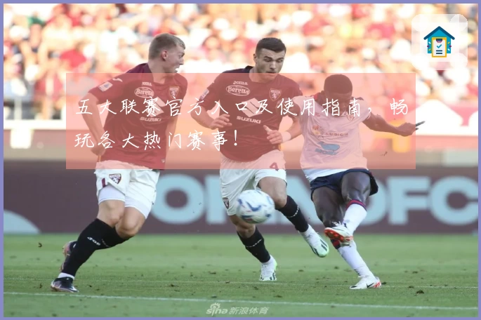 五大联赛官方入口及使用指南，畅玩各大热门赛事！